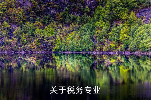 關(guān)于稅務(wù)專(zhuān)業(yè)