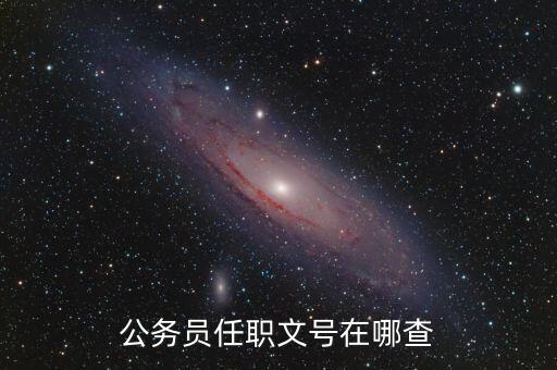 什么地方可以查任職文號(hào)，公務(wù)員任職文號(hào)在哪查