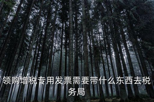 領(lǐng)專票帶什么資料，去稅務(wù)局領(lǐng)發(fā)票需要帶什么資料去