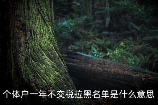 什么是納稅信用黑名單，個體戶一年不交稅拉黑名單是什么意思