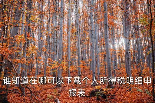 下載什么看申報(bào)稅，誰(shuí)知道在哪可以下載個(gè)人所得稅明細(xì)申報(bào)表