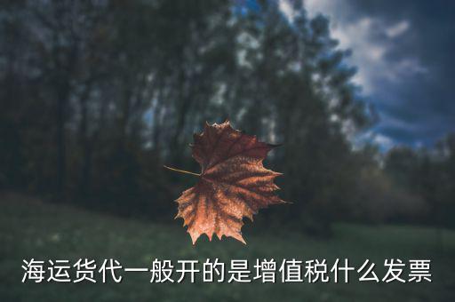貨運代理開什么票，海運貨代一般開的是增值稅什么發(fā)票