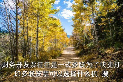 發(fā)票用什么打印機，國稅發(fā)票 兩聯(lián) 用什么打印機