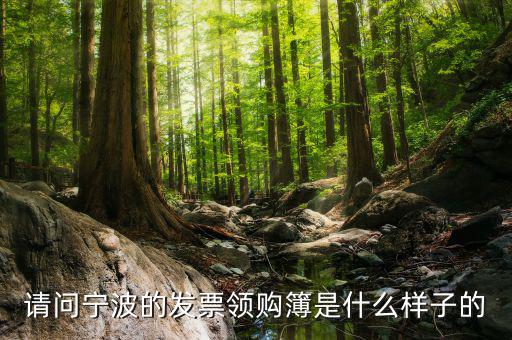 發(fā)票領(lǐng)用簿什么樣子，會(huì)計(jì)發(fā)票領(lǐng)購(gòu)沒經(jīng)驗(yàn)想請(qǐng)問領(lǐng)購(gòu)的發(fā)票時(shí)什么樣的有金額顯示嗎