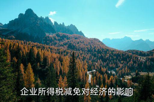 減稅免稅有什么弊端，減稅對(duì)個(gè)人和企業(yè)的不利影響