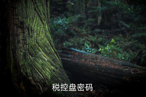 稅控盤(pán)證書(shū)密碼是什么意思，稅控盤(pán)上報(bào)匯總密碼是什么