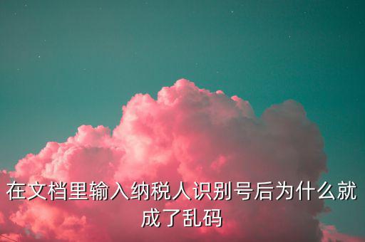 個(gè)稅導(dǎo)入模板為什么是亂碼，在文檔里輸入納稅人識別號后為什么就成了亂碼