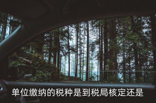 什么時候 稅種核定，單位繳納的稅種是到稅局核定還是