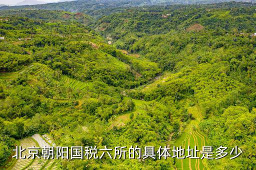 國稅六辦指什么，北京朝陽國稅六所的具體地址是多少