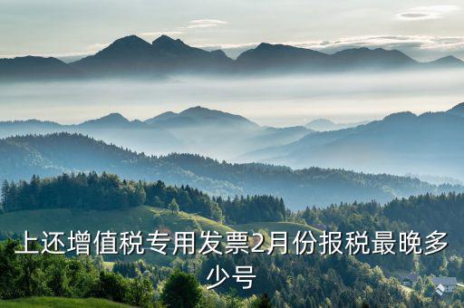 己開具專用票最遲什么時侯報稅，銷售貨物開具了發(fā)票什么時候報稅