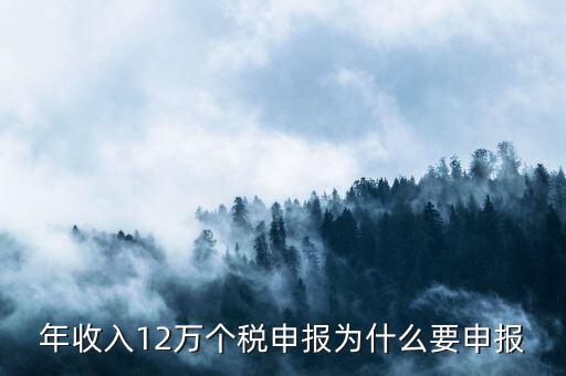 為什么12萬要申報表，每個月都已繳納為什么年收入超過12萬還需要再申報