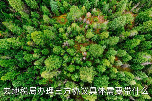 地稅辦理三方協(xié)議需要什么資料，去地稅局辦理三方協(xié)議具體需要帶什么