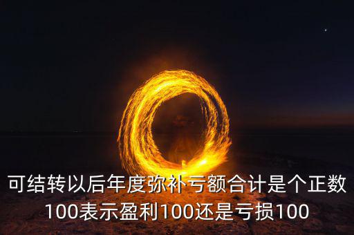 可結轉以后年度彌補虧額合計是個正數100表示盈利100還是虧損100