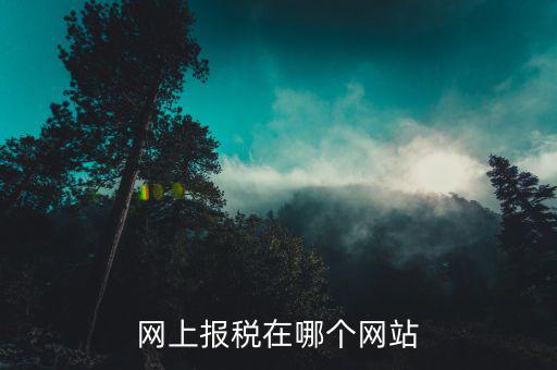 網(wǎng)上報稅上什么網(wǎng)站，一般納稅人增值稅在網(wǎng)上怎么扣稅哦哪個網(wǎng)