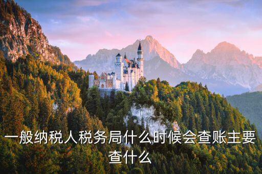 稅局什么時間搖號稽查，一般納稅人稅務局什么時候會查賬主要查什么