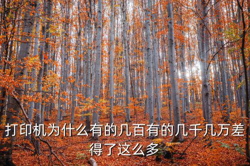 發(fā)票打印機為什么這么貴，為什么針式打印機還是那么貴