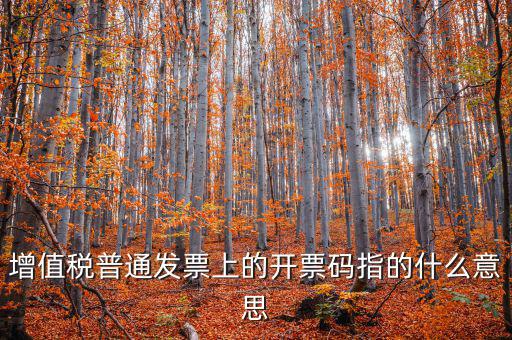 稅控盤開票碼是什么意思，增值稅普通發(fā)票上的開票碼指的什么意思