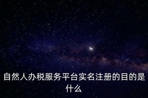 自然人辦稅服務(wù)平臺(tái)實(shí)名注冊的目的是什么