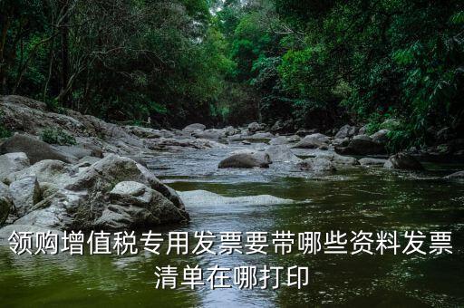 公司領(lǐng)票需要什么資料，領(lǐng)購(gòu)增值稅專(zhuān)用發(fā)票要帶哪些資料發(fā)票清單在哪打印