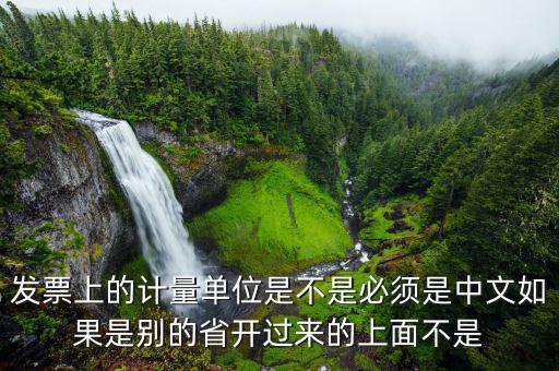 發(fā)票計(jì)量單位是什么，發(fā)票上的計(jì)量單位是不是必須是中文如果是別的省開過(guò)來(lái)的上面不是
