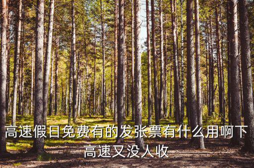 高速假日免費(fèi)有的發(fā)張票有什么用啊下高速又沒人收
