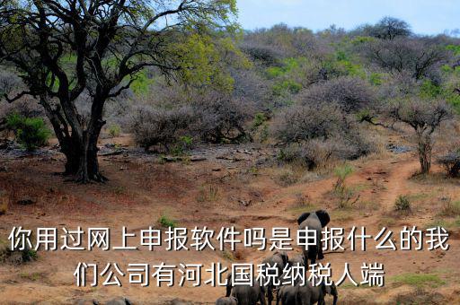 稅友報稅的軟件叫什么，你用過網(wǎng)上申報軟件嗎是申報什么的我們公司有河北國稅納稅人端