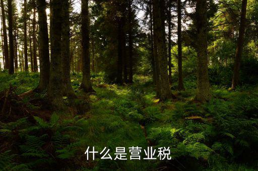 營業(yè)稅是什么行為稅，請(qǐng)問什么是營業(yè)稅