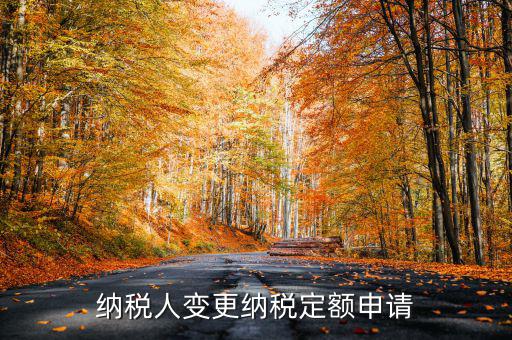 變更納稅定額什么意思，調(diào)整應納稅所得額什么意思