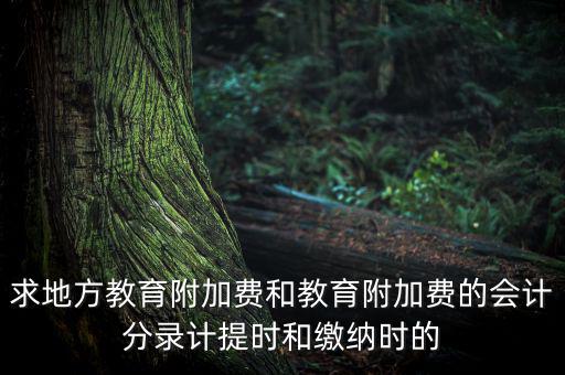 地方教育費附加是什么意思，教育費附加代表什么意思