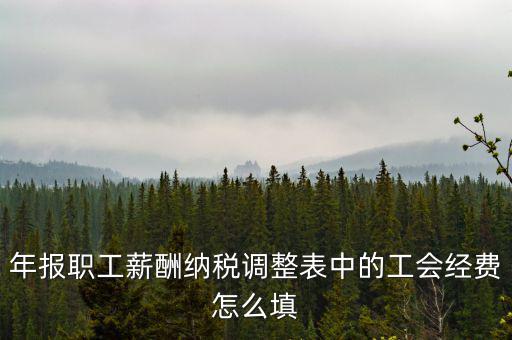 工會經(jīng)費應(yīng)稅項填什么，網(wǎng)上報稅時又多了一項工會經(jīng)費怎樣填寫計算