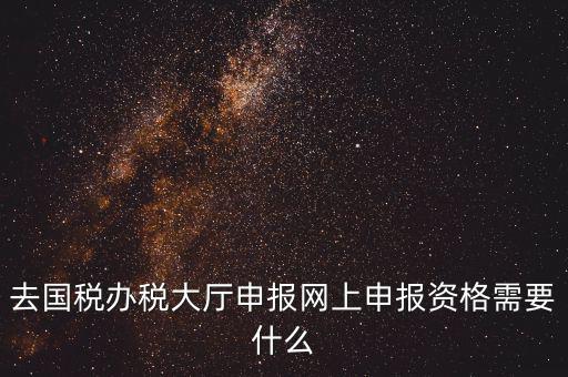 國稅網(wǎng)上申報用什么，去國稅辦稅大廳申報網(wǎng)上申報資格需要什么