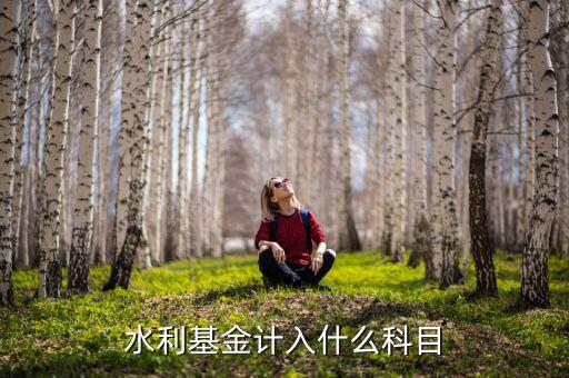水利基金指什么，水利基金計入什么科目