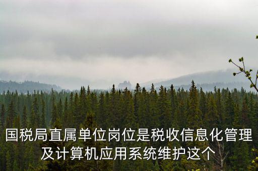 什么是國(guó)稅信息化，信息化在稅務(wù)管理中有什么作用