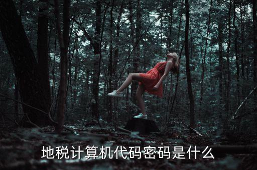 地稅稅務登陸密碼是什么意思，湖北地稅網(wǎng)絡發(fā)票登陸密碼是什么急急急