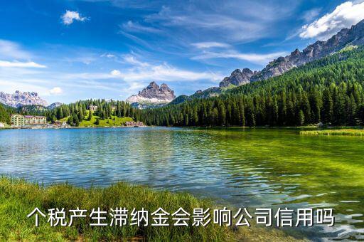 稅收滯納金有什么影響，地稅報稅逾期產(chǎn)生滯納金會對公司有甚么影響