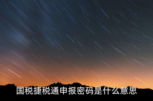 國稅申報登陸密碼是什么意思，國稅第一次網(wǎng)上申報的登陸密碼是什么