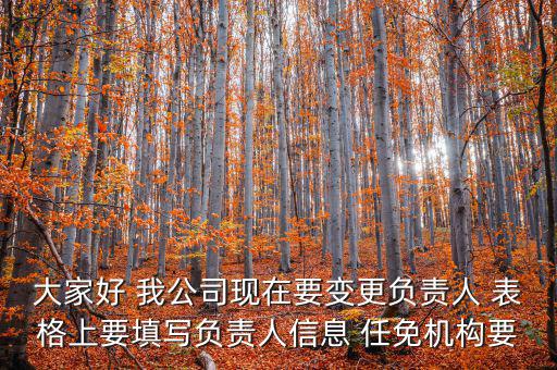 大家好 我公司現(xiàn)在要變更負責人 表格上要填寫負責人信息 任免機構要