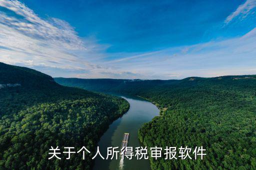申報(bào)個(gè)稅的APP叫什么，申報(bào)個(gè)稅軟件