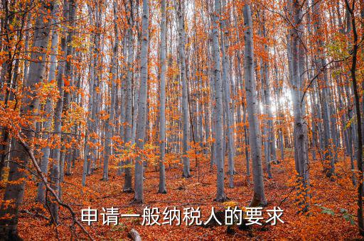 納稅人需求什么，申請(qǐng)一般納稅人的要求