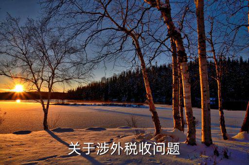 什么是涉外地稅，國(guó)際稅務(wù)是什么