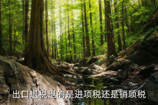 出口退稅退的是什么稅，出口退稅退的是進(jìn)項(xiàng)稅還是銷項(xiàng)稅