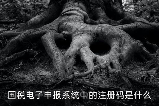 納稅申報碼是什么碼，什么是納稅申報號
