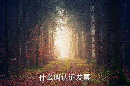 什么叫認(rèn)證發(fā)票，什么叫認(rèn)證增值稅發(fā)票如何認(rèn)證好像還有手工認(rèn)證是怎么回事啊