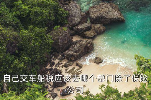 代開車船稅要用什么公司，哪些銀行代收車船使用稅