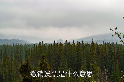 繳銷(xiāo)外經(jīng)證局軌是什么意思，在地稅局外管證已經(jīng)繳銷(xiāo)了還能開(kāi)票嗎