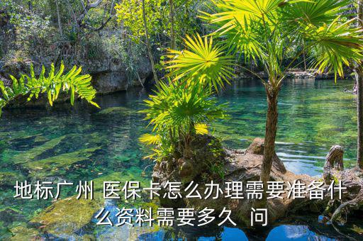 地標(biāo)廣州 醫(yī)?？ㄔ趺崔k理需要準(zhǔn)備什么資料需要多久  問