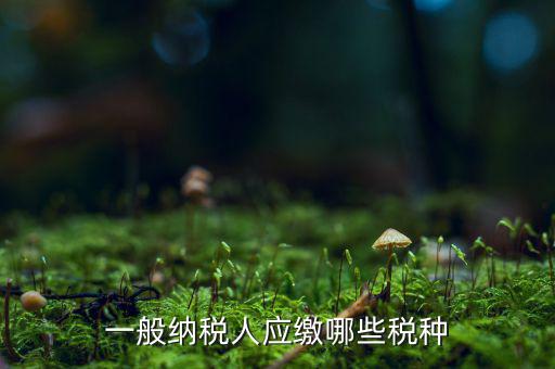 一般納稅人國(guó)稅申報(bào)什么稅種，在國(guó)稅申報(bào)的稅種有哪些稅率是多少
