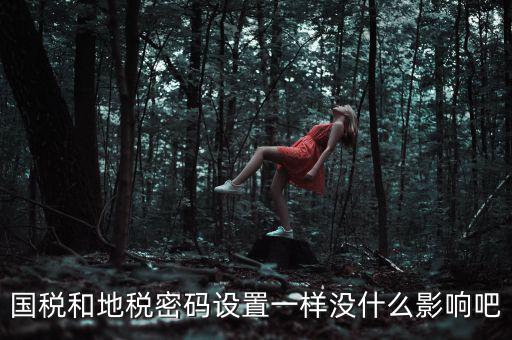 國稅和地稅密碼設置一樣沒什么影響吧