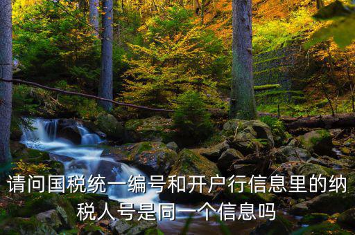 請問國稅統(tǒng)一編號(hào)和開戶行信息里的納稅人號(hào)是同一個(gè)信息嗎