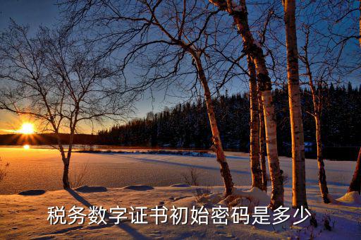 金稅盤ca密碼是什么，稅務密鑰是什么東西是數(shù)字證書嗎